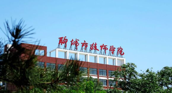 聊城市技師學院有計算機專業嗎？