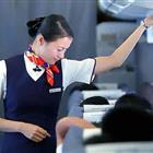 航空服務（票務、安檢方向）、航空乘務定向委培